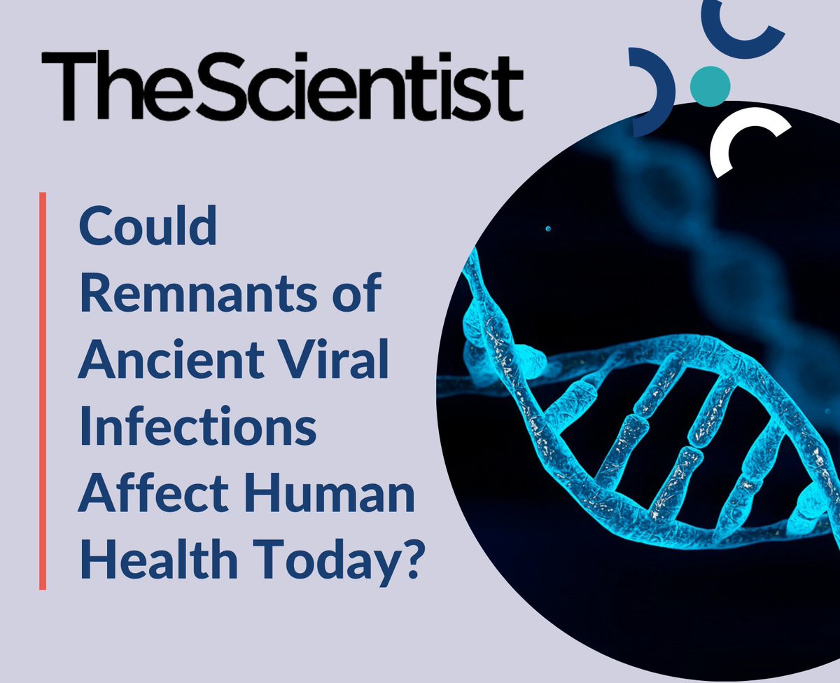 NIHR Maudsley Biomedical Research Centre (BRC) (@nihrmaudsleybrc) on Twitter photo Read in <a href="/TheScientistLLC/">The Scientist</a>: Dr Timothy Powell <a href="/powell_tim_r/">Timothy Powell</a> and Dr Rodrigo Duarte <a href="/3RDuarte/">Rodrigo Duarte</a> discuss their research into the role of human endogenous retroviruses (HERVs) in multiple sclerosis (MS) and amyotrophic lateral sclerosis (ALS).
➡️the-scientist.com/could-remnants… <a href="/BrainBehavImm/">BrainBehavImm</a> Read in <a href="/TheScientistLLC/">The Scientist</a>: Dr Timothy Powell <a href="/powell_tim_r/">Timothy Powell</a> and Dr Rodrigo Duarte <a href="/3RDuarte/">Rodrigo Duarte</a> discuss their research into the role of human endogenous retroviruses (HERVs) in multiple sclerosis (MS) and amyotrophic lateral sclerosis (ALS).
➡️the-scientist.com/could-remnants… <a href="/BrainBehavImm/">BrainBehavImm</a>