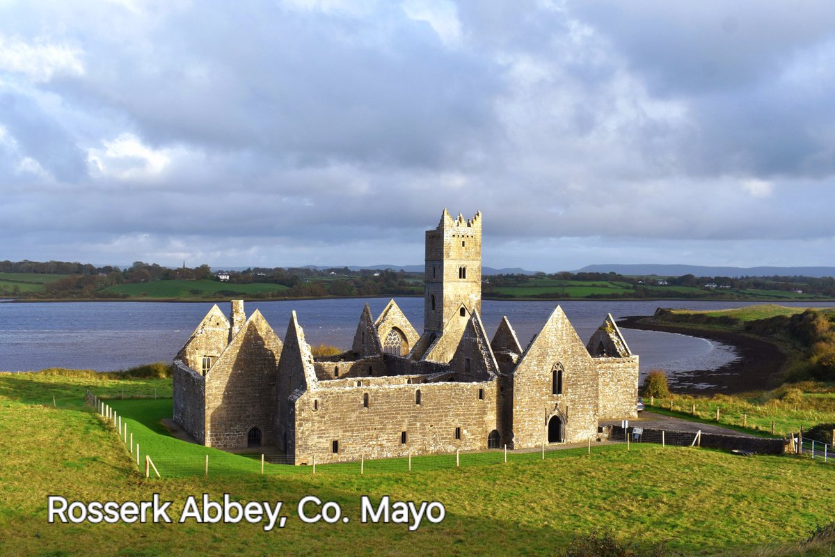 David Hicks tweet media