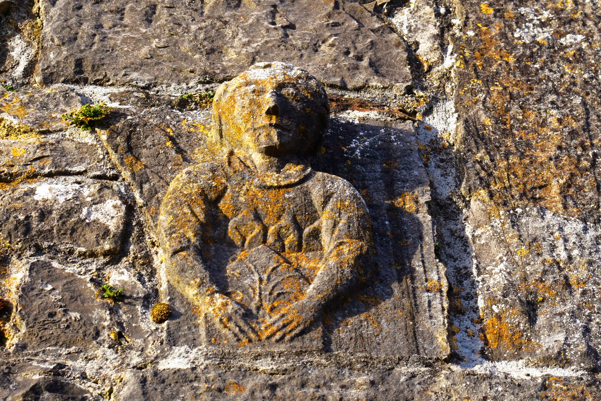 David Hicks tweet media