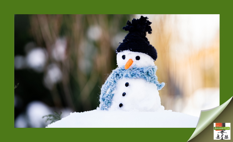 Festtagsaktionen in unserem Shop – finde das perfekte Geschenk. #Weihnachtsaktion #Shop