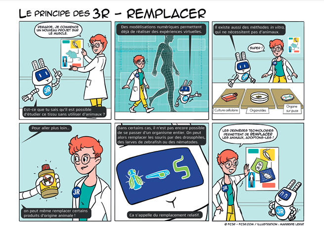 FranceCentre3R's tweet photo. 🌟 Le principe des 3R expliqué en BD 🌟 
hashtag#3R, 3 planches pour les illustrer !
A télécharger sur FRIA et à mettre au pied du 🎄 !

#remplacer : https://t.co/j6ThyqNT0d https://t.co/RsRmkY6g6w
