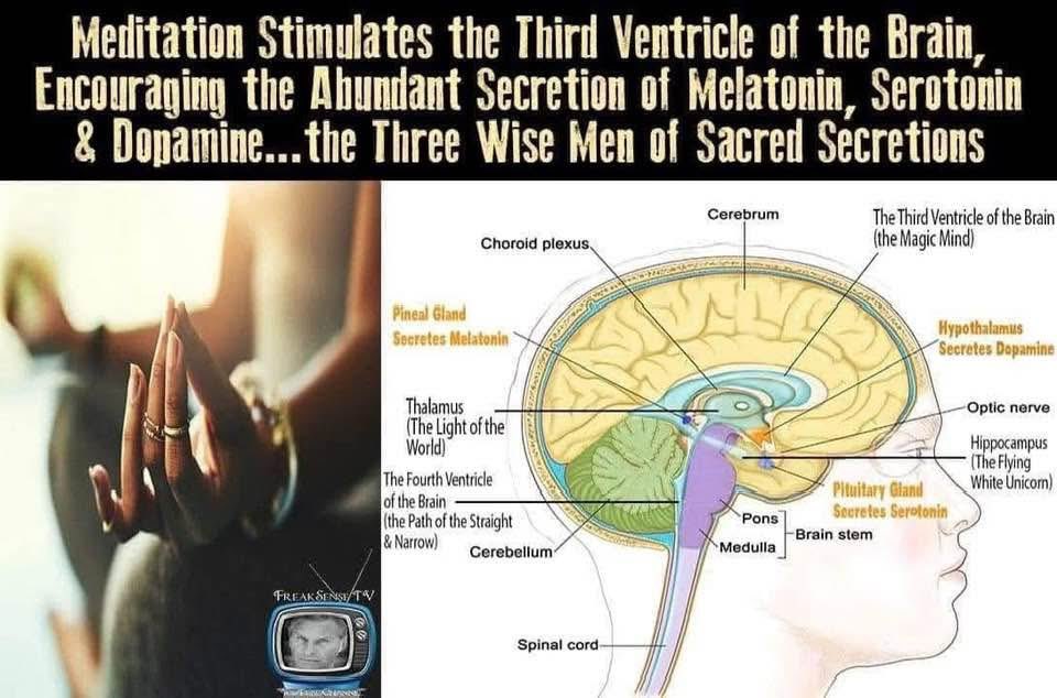 Fair..!!??😂😂🫶🏻🫶🏻🫶🏻