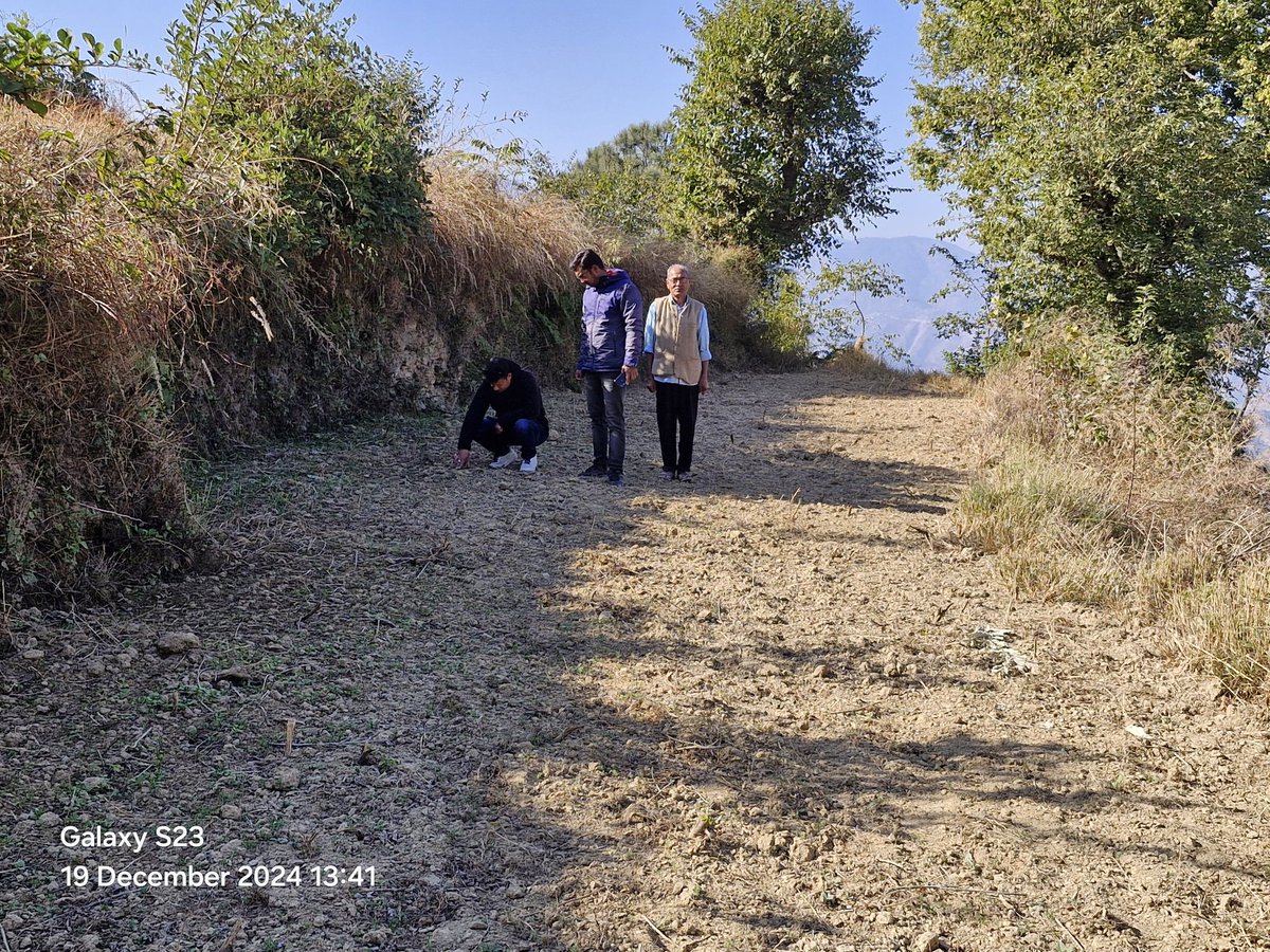 KotRduk's tweet photo. Today at gram arari# swabhiman clf # kot block # meeting held# for seed bank # haldi purchase # and view of ginger plantation fields. All reap block and clf staff was present. https://t.co/UJ81haTf5T
