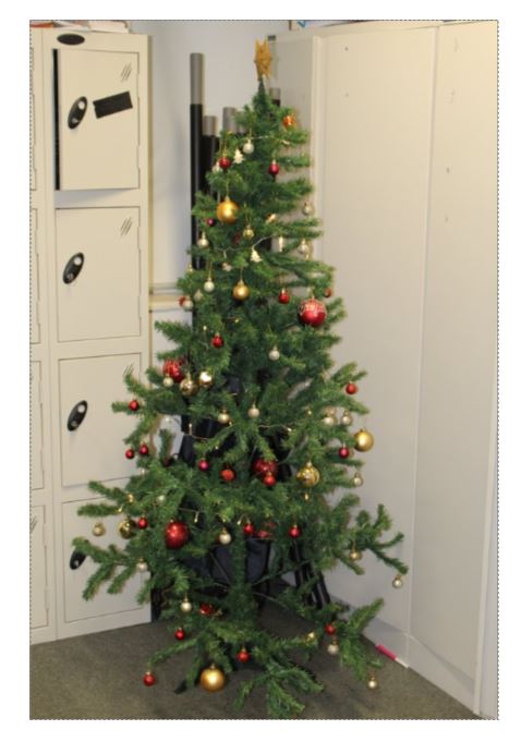 This week, Lyceum House forms were challenged to create their own 100% eco tree, using only recycled or unwanted materials. 🎄

In 1st place...  Ly09's paper wonderland and Ly07's Chemistree!

Ly03 used PE items to create a bird's eye view tree and Ly05's red &amp; gold tree stunned!