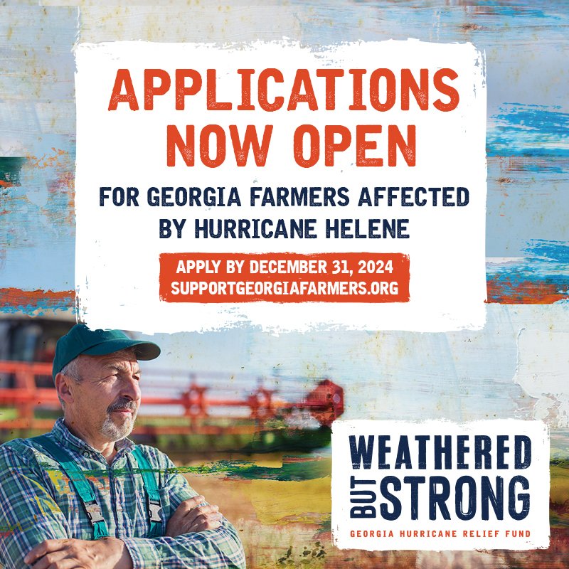 Farmers, don’t miss your chance to access hurricane relief grants!
Deadline to Apply: December 31, 2024
Review Period: January 2025
Payouts Begin: February 2025
Apply now and get the support you need to rebuild and thrive. Visit supportgeorgiafarmers.org