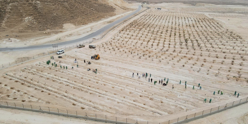 بدأت المديرية العامة للبيئة بمحافظة ظفار تنفيذ حملة استزراع 10 آلاف شجرة بريّة بالتعاون مع بلدية ظفار وعدد من مؤسسات القطاع العام والخاص والمدني ضمن مشروع زراعة وتوزيع 60 ألف شجرة بريّة لهذا العام.

#ظفار_الإعلامية
#السلطان_هيثم_بن_طارق