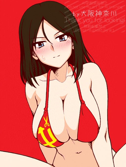 昨夜寝る時にみぞれが降ってるっぽい気配はしたのですが、まさか雪が降るとは…横浜で12月に雪が降るのは珍しい…。
という訳で、プラウダ貼っておきます
 #garupan #ガルパン 