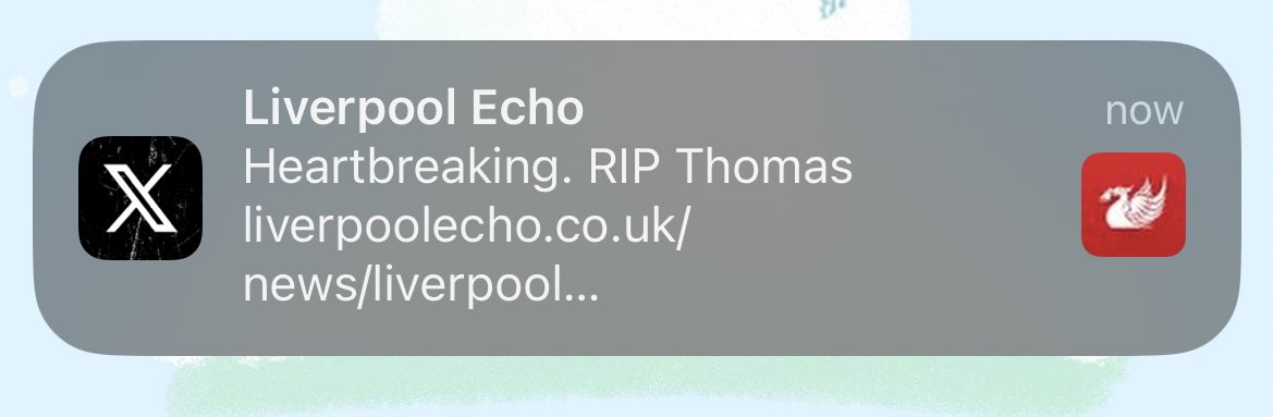 🧦thomas sockstone🧦 (@mrqazwet) on Twitter photo 