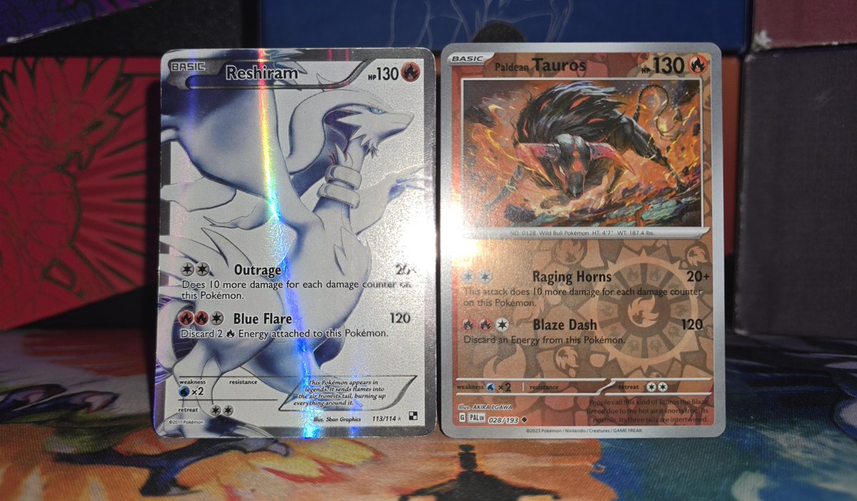 The NOISE tweet media