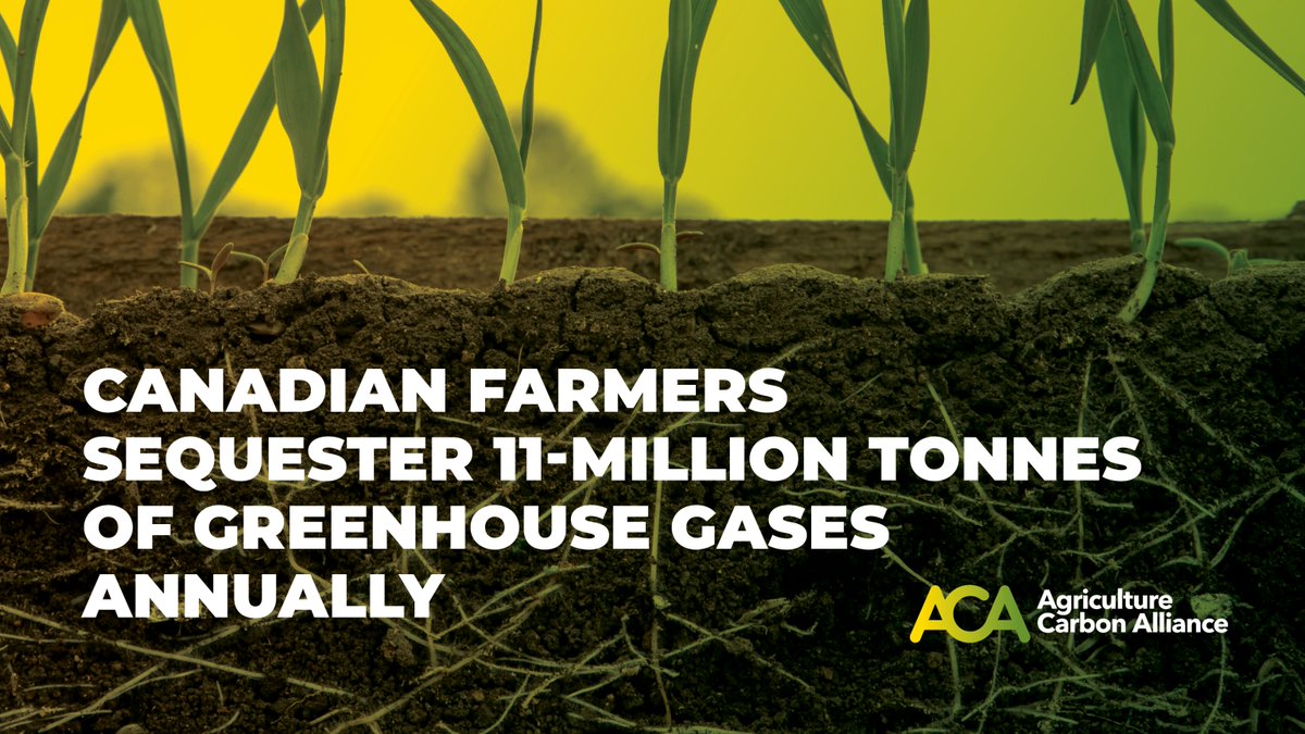 With low- &amp; no-till practices, Canadian farmers sequester 11 million tonnes of greenhouse gasses annually.  As of 2016, 65% of western Canadian farmland was seeded with no till practices. 

#cdnag <a href="/canolacouncil/">Canola Council of Canada</a>
