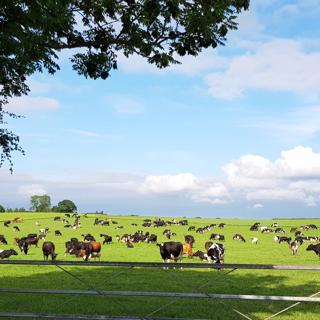 Farmers Weekly tweet media