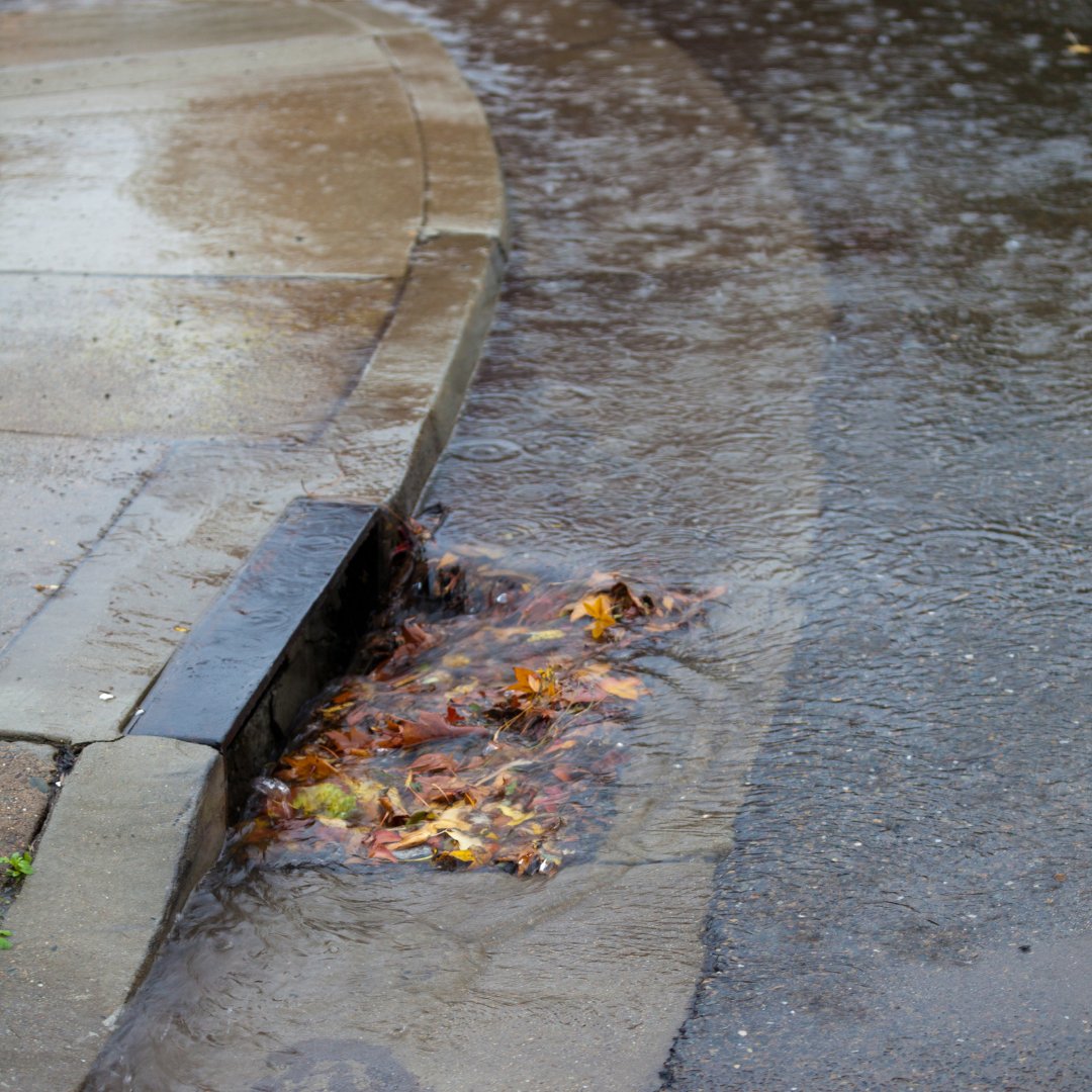 onlyrain_nova's tweet photo. Do you see something strange going on around the storm drain? Your local hotline is here to help! Call your local storm water pollution hotline and report suspicious behavior. Together, we can do our part to protect our waterways. https://t.co/oGspleqxIH #OnlyRain https://t.co/fgPfaHM4sT