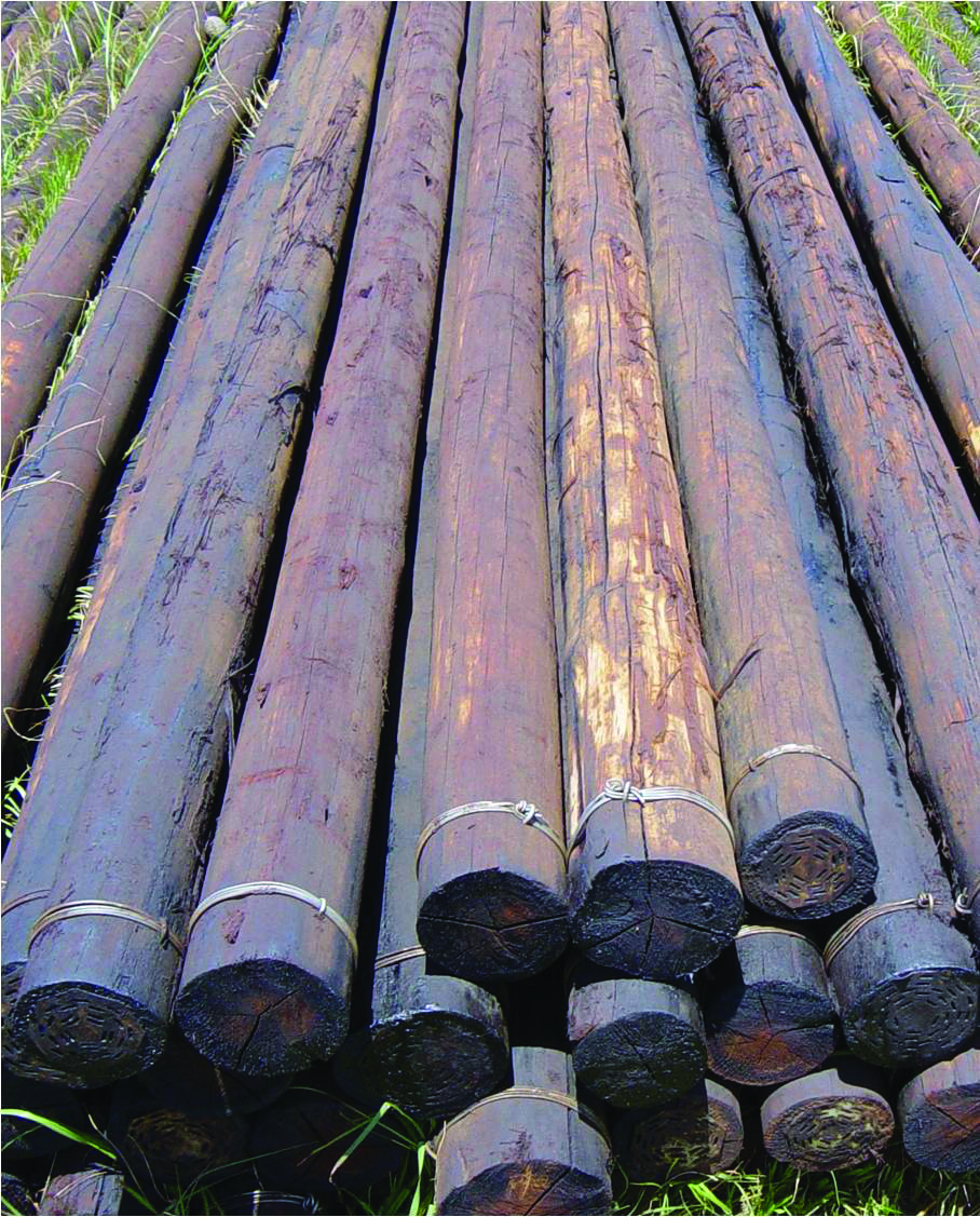 Leading Architecture tweet media