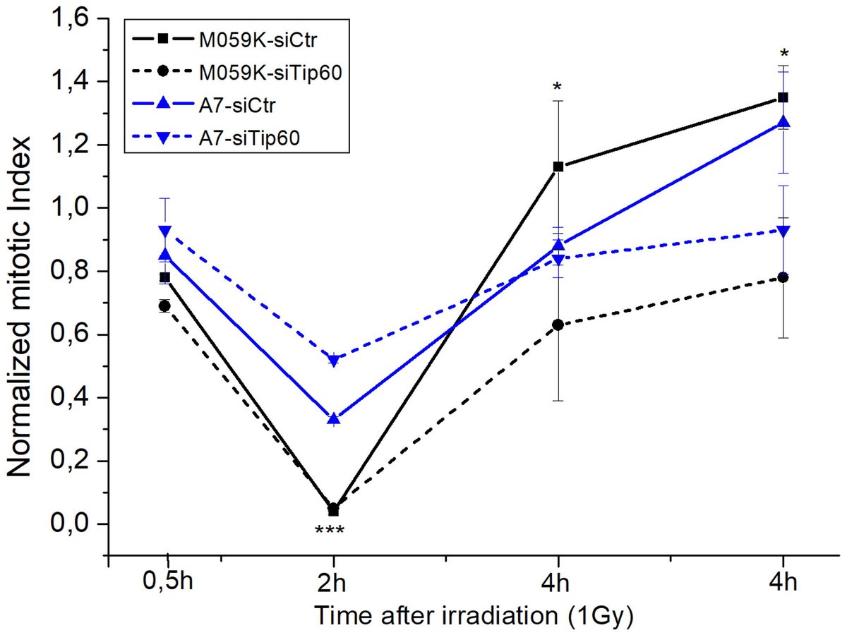 OPEN ACCESS: Defining the role of Tip60 in the DNA damage response of glioma cell lines buff.ly/3ZwdnvG  

#dna #repair #radiation #research #ijrb
