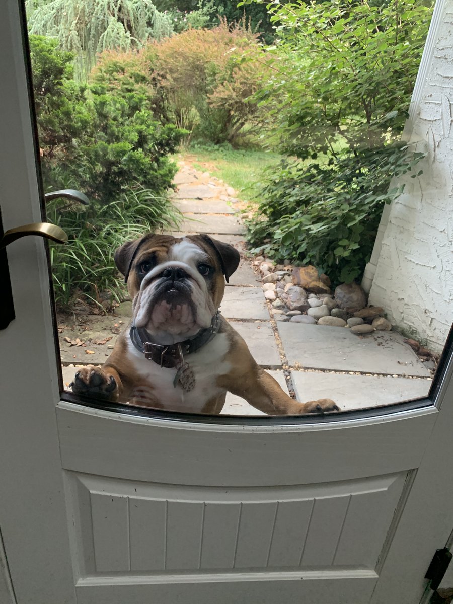 Wishing all of my network a Happy Holidays!