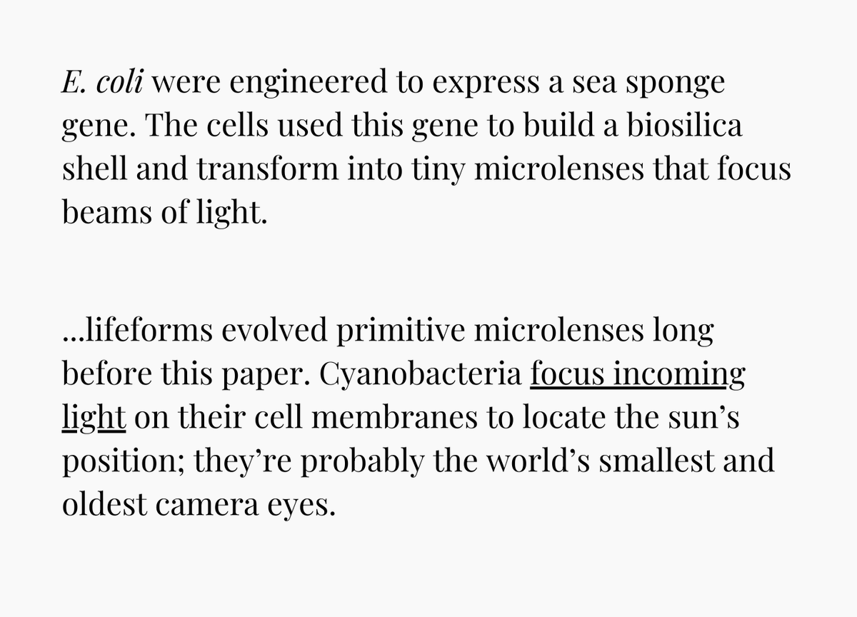 Niko McCarty. tweet media