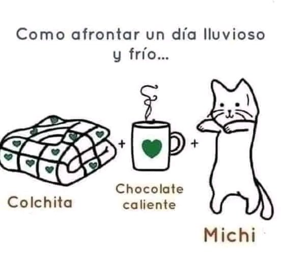 La mejor combinación 😎🐱🐾