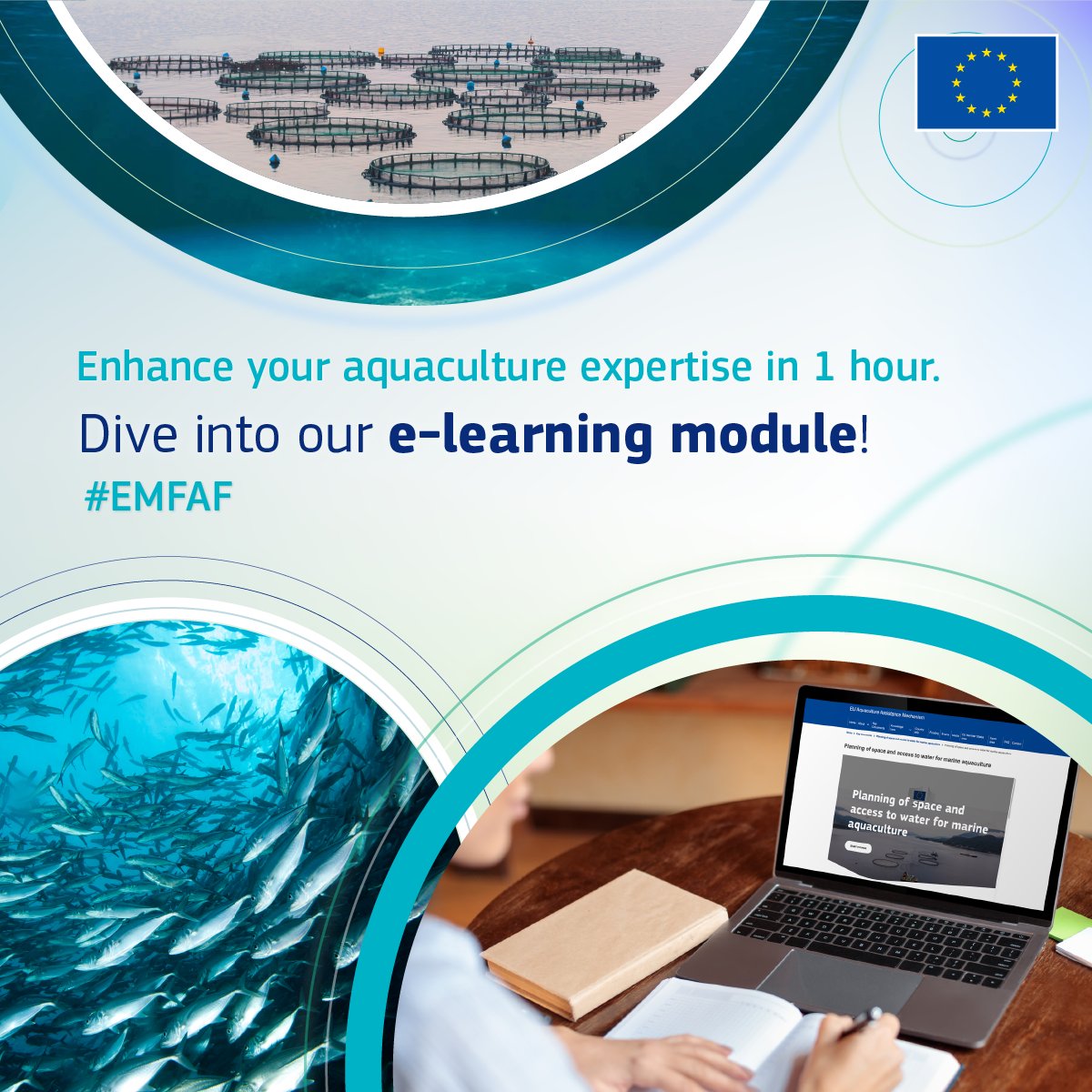Start the New Year with the right foot!

You can deepen your expertise in aquaculture with our new e-learning module about "Planning of space and access to water for marine aquaculture".

Enroll now👇
europa.eu/!697Vrn

#EU #EMFAF #BlueFarmingEU