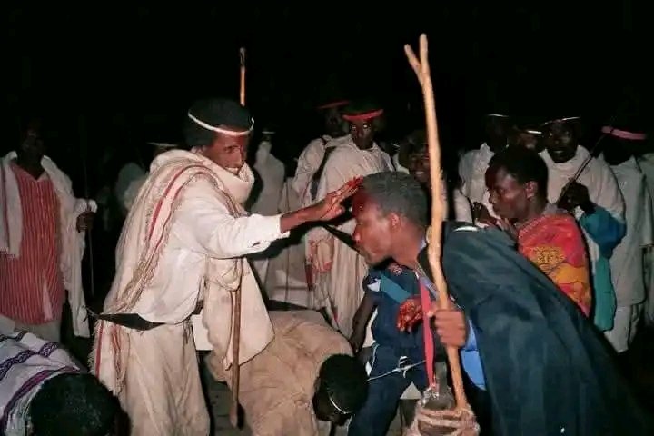 gumaaoro's tweet photo. 🚨የከረዩ ዲሞክራሲያዊ የገዳ ጥንታዊ የስልጣን ሽግግር ስርዓት ጥንታዊ ወግ ባህሉን ታሪኩን እሴቱን ጠብቆ በተሬ ሉጎ ላይ በተለያዩ ስነ ስርዓቶች እየተከናወነ ይገኛል። 
እንኳን አደረሳችሁ : መልካም የገዳ ስልጣን ርክክብ ይሁንላችሁ ❤🙏 https://t.co/kzo8UwGZPq