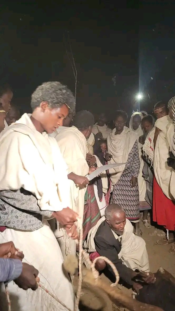 gumaaoro's tweet photo. 🚨የከረዩ ዲሞክራሲያዊ የገዳ ጥንታዊ የስልጣን ሽግግር ስርዓት ጥንታዊ ወግ ባህሉን ታሪኩን እሴቱን ጠብቆ በተሬ ሉጎ ላይ በተለያዩ ስነ ስርዓቶች እየተከናወነ ይገኛል። 
እንኳን አደረሳችሁ : መልካም የገዳ ስልጣን ርክክብ ይሁንላችሁ ❤🙏 https://t.co/kzo8UwGZPq