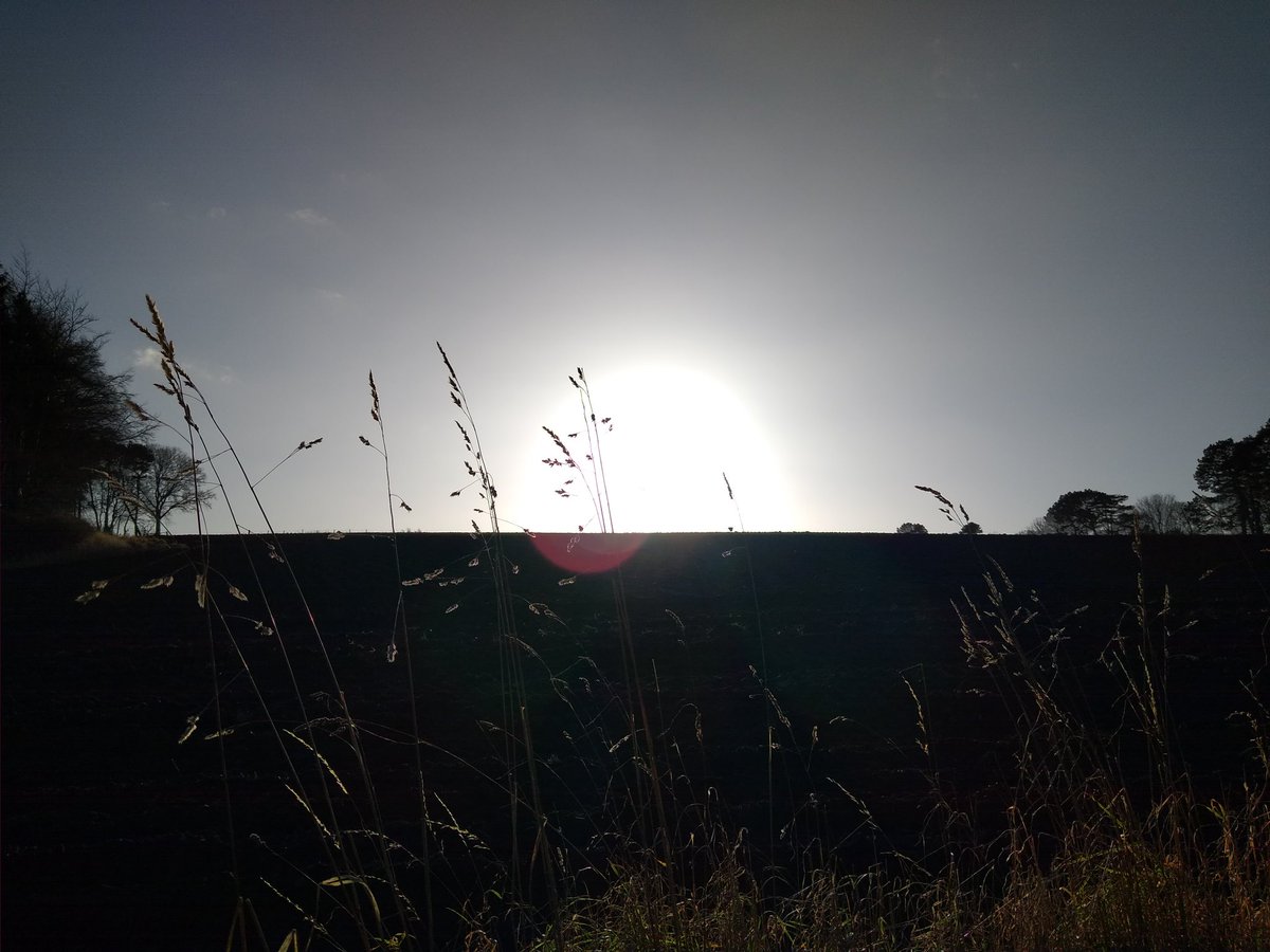 AndrewJohnster's tweet photo. Long walk today.
Trees.
Lovely, bright, much cooler.
#OneWalkADay
🥰
Not been the best this week. Oncology appmt yesterday added with Xmas anxiety, son has never got it and the change in routine makes for a bit of a downer.
Oncology was good in so much treatment has been decided. https://t.co/02SxX1w7gq