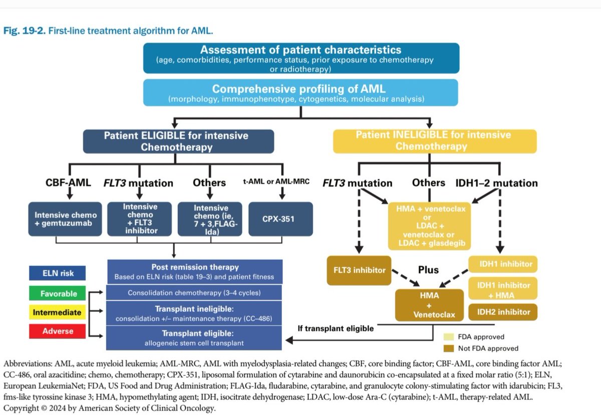 AhmedKo45911157's tweet image. 👌Excellent algorithm
🔍 First-line AML Treatment Simplified 📊
💡 Intensive vs Non-Intensive Chemotherapy
🔑 Highlights:
✅ FLT3 inhibitors, IDH inhibitors, CPX-351, HMA+Venetoclax
🩺 Tailored to patient fitness &amp;amp; ELN risk.
📚 #ASCO24

#Hematology #AML #Oncology