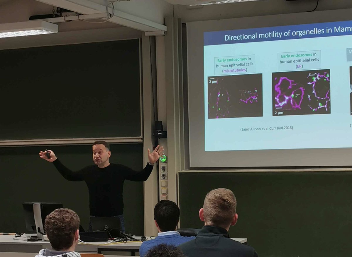 KBuerstenbinder's tweet image. What an amazing final week of 2024 at @Bio_UMR - starting with our X-mas party (also marking the ~ 1-year anniversary of the lab move), followed by the visit and inspiring seminar and discussions with Ionas Pyrpassopolous from @ZMBP_Tuebingen #plantSci #lablife #happyPI