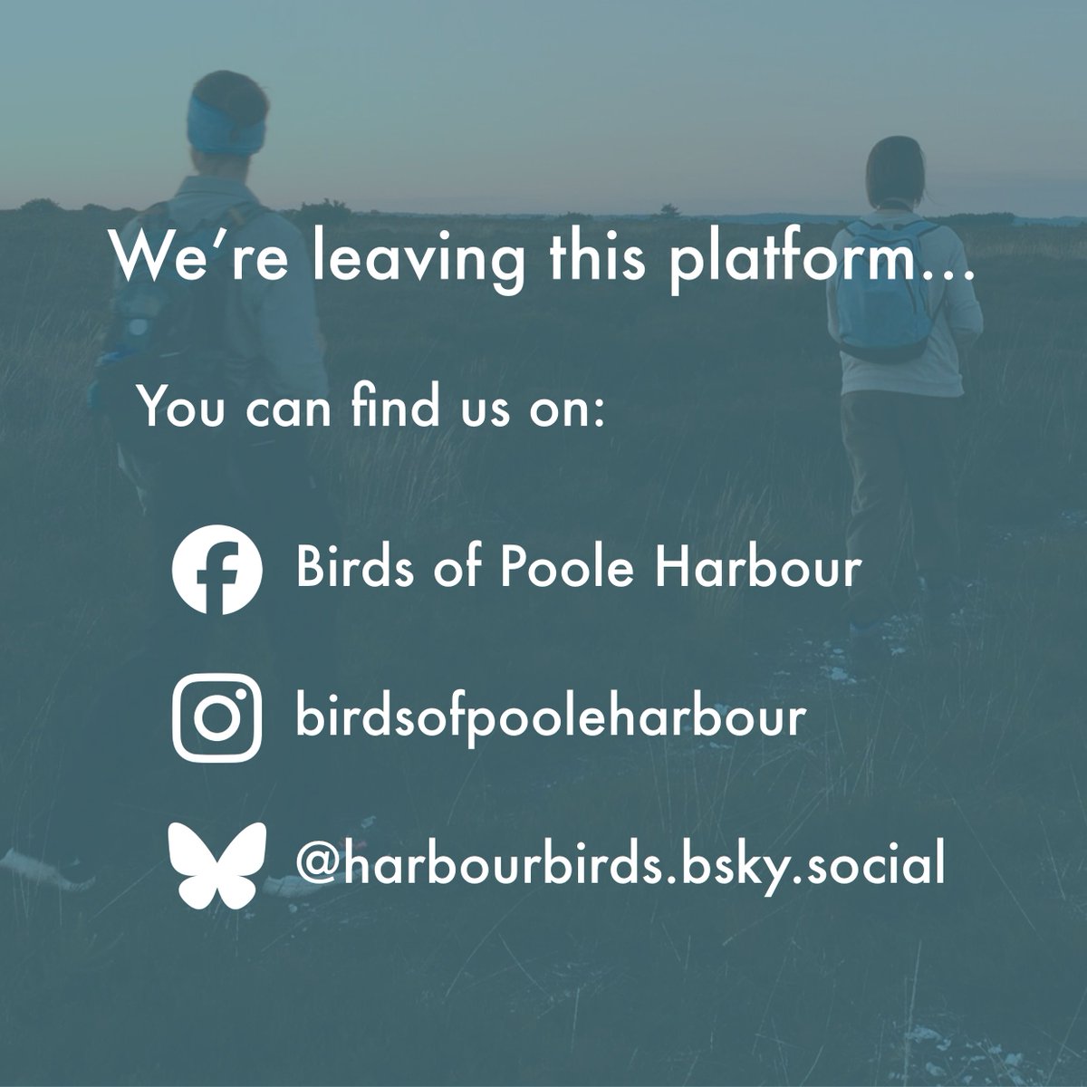 harbourbirds's tweet image. From 1st January BoPH will no longer be using X as one of our social media platforms.
You can still find us on Facebook, Instagram and Bluesky, where you can report any local bird sightings and news.
We'll also leave our X account open so that you can find any historic posts.