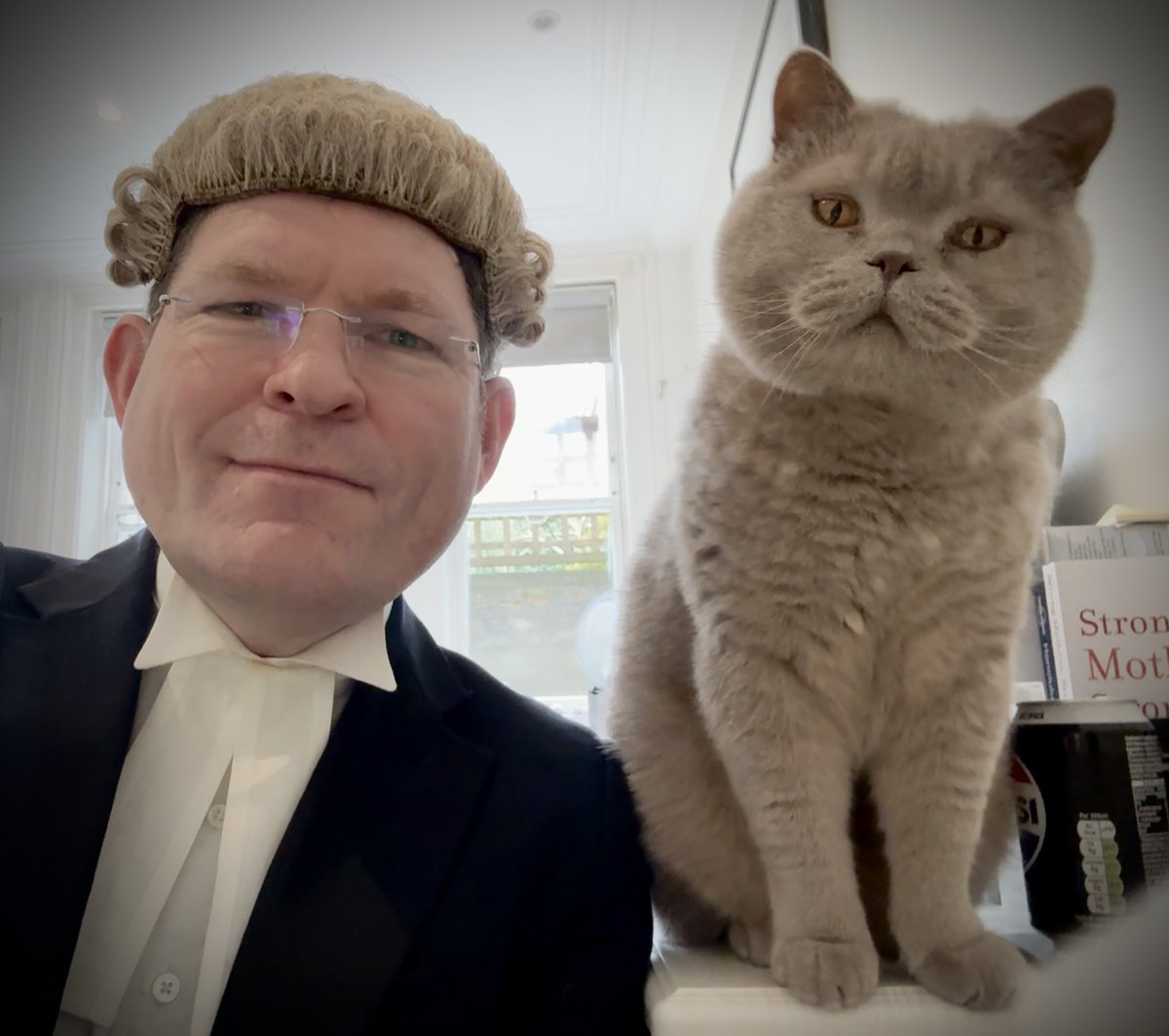 “My Lord, I am joined on the link by my junior, The Cat”