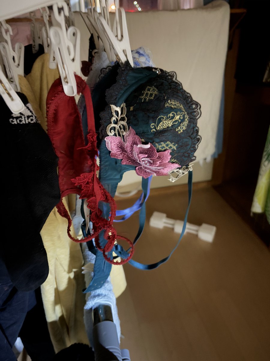 興味無いかも知らんけど・・・
奥ちゃまの部屋干し