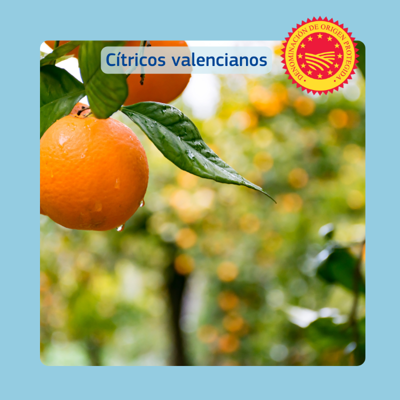 ComisionEuropea's tweet photo. ¡Hoy es el primer día de invierno! Y con él llegan nuestros productos de temporada con Denominación de Origen e Indicación Geográfica Protegidos.
¿Quieres saber más? Visita eAmbrosia, el portal de registro de todos los productos protegidos de la Unión Europea.
#EUQuality #EUFood