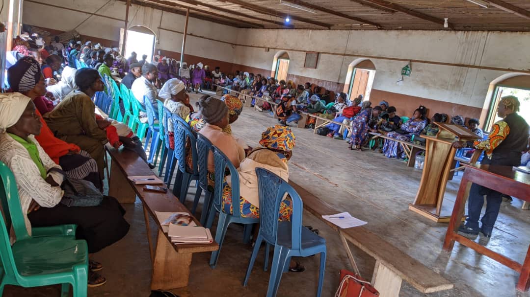 PNUDCameroun's tweet image. The UNDP 🇨🇲 #RecoveryProgramme through the #PPRD-NW/SW and with funding from @isdb_group is fostering social cohesion through sociocultural interventions in the #NWRegion, laying the groundwork for future livelihoods & infrastructure interventions.
Over 17 councils in the…