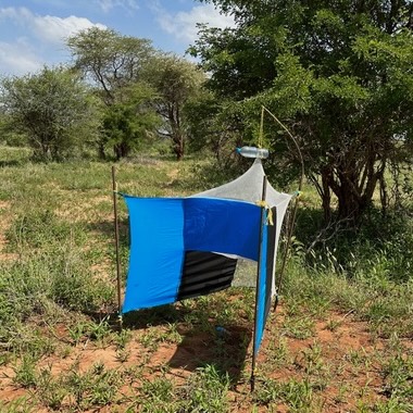 Biological Sciences | University of Edinburgh (@sbsated) on Twitter photo Great to see this new work published from <a href="/GuyOldrieve/">Guy Oldrieve</a> and <a href="/KeithRMatthews/">Keith Matthews</a> @edin_eid showing how the parasites that cause sleeping sickness can spread beyond their native Africa as a result of mutations to key genes
edinburgh-infectious-diseases.ed.ac.uk/news-and-event… Great to see this new work published from <a href="/GuyOldrieve/">Guy Oldrieve</a> and <a href="/KeithRMatthews/">Keith Matthews</a> @edin_eid showing how the parasites that cause sleeping sickness can spread beyond their native Africa as a result of mutations to key genes
edinburgh-infectious-diseases.ed.ac.uk/news-and-event…