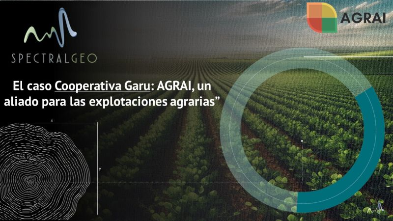 Desde Cooperativa GARU seguimos colaborando con SpectralGeo en la implementación del sistema Agrai, con el que modelizar la producción y el momento de cosecha en nuestros cultivos de guisante y judía verde en La Rioja Alta.