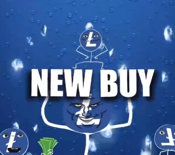 $Lester 想要重生，必然要经历痛苦的洗盘，之前的问题和Slerf其实很像，有很多大户，大户筹码都很多，但是大户不是庄家，大户只是筹码多一些的散户，他们如果没有自主去做市值的能力和决心，那么这种情况对这个项目来说是不利的！当洗盘结束，真正的大户是庄的时候，表演就即将开始了！