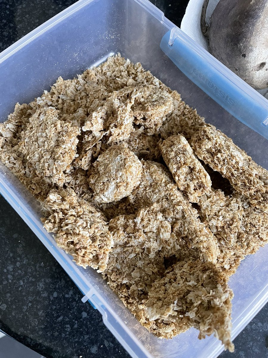 kbhads's tweet photo. @weetabix not sure what’s happening but the recent box of weetabix protein has mostly crumbled. Has there been a change since the recent shortage? I’ve never had this before to this extent. It just falls apart. https://t.co/gzAIfbkVWc