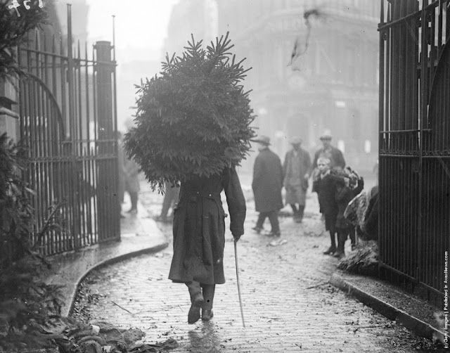 britgardhistory's tweet photo. A wounded soldier carrying a Christmas tree home, December 1915. Such a moving image. https://t.co/HBBh2wBhKQ