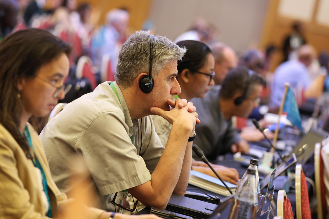 ✴️ #IPBES11 #TransformativeChange is OUT!
Yet another cornerstone to halt #biodiversity Collapse. Acting Immediately Could Generate $10 Trillion in Business Opportunity Value and Support 395 Million Jobs by 2030!
👉 ipbes.net/transformative…
#taxonomy4science