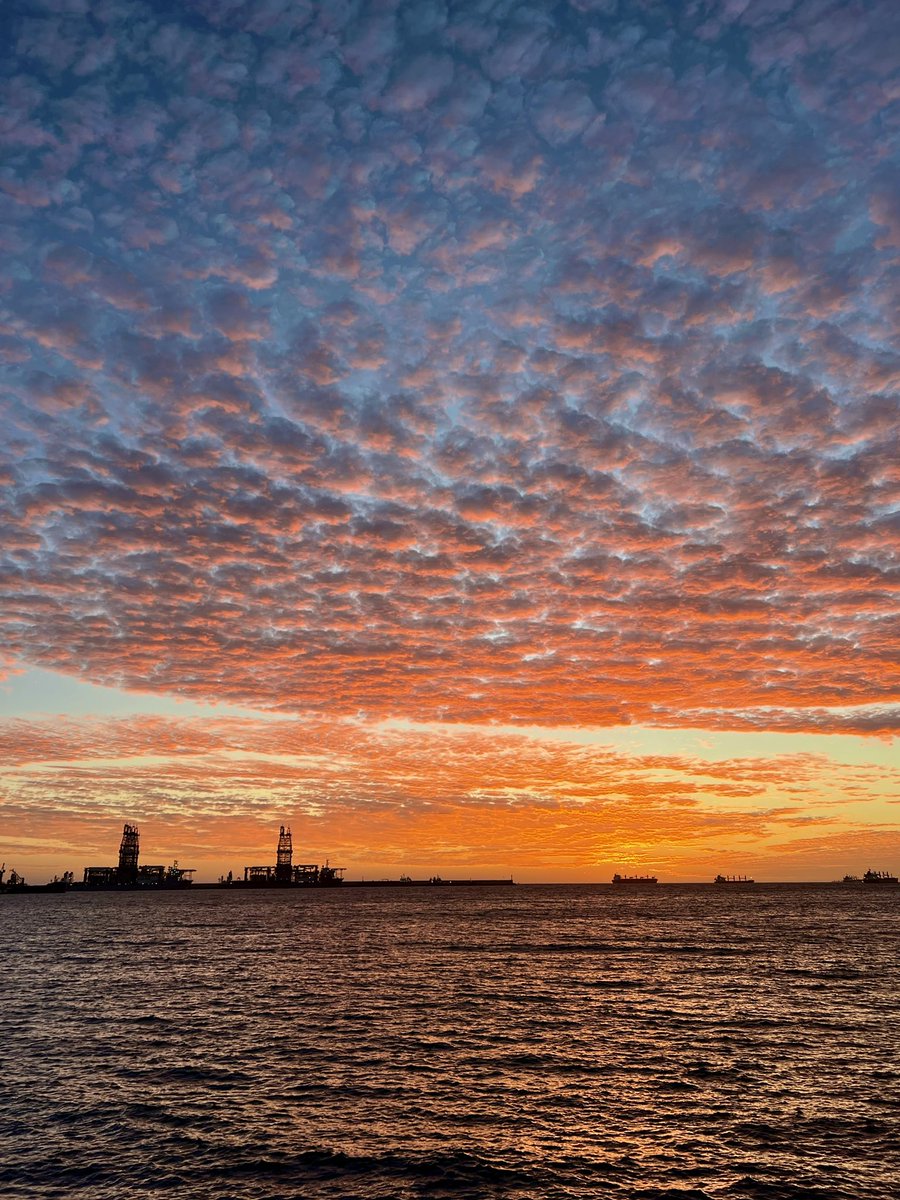 Buenos días! 🌅⛵️ 
Regalos de la naturaleza!✨

<a href="/EmocionesCan/">Emociones Canarias</a> 
<a href="/VickyPalmaMeteo/">Vicky Palma</a> 
<a href="/TiempoRTVC/">El Tiempo RTVC</a>