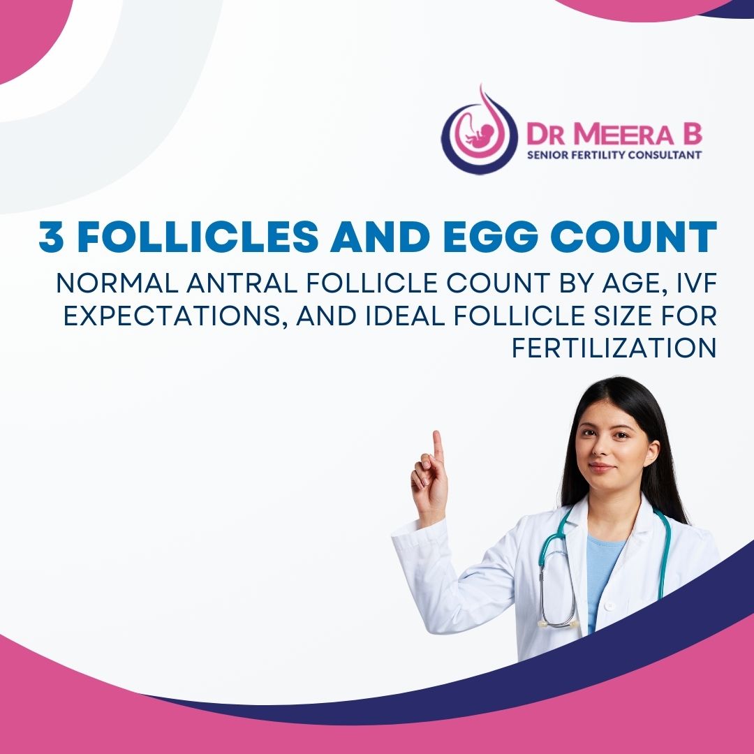 Dr_Meera_B's tweet image. 3 Follicles and Egg Count in IVF: What You Need to Know

Visit our website or call us at +91 9447145101 to schedule a consultation.

drmeerab.com/3-follicles-an…

#IVFJourney #FertilityCare #EggCount #FollicleCount #IVFSuccess #InfertilitySupport #DrMeeraB #FertilityClinicKollam