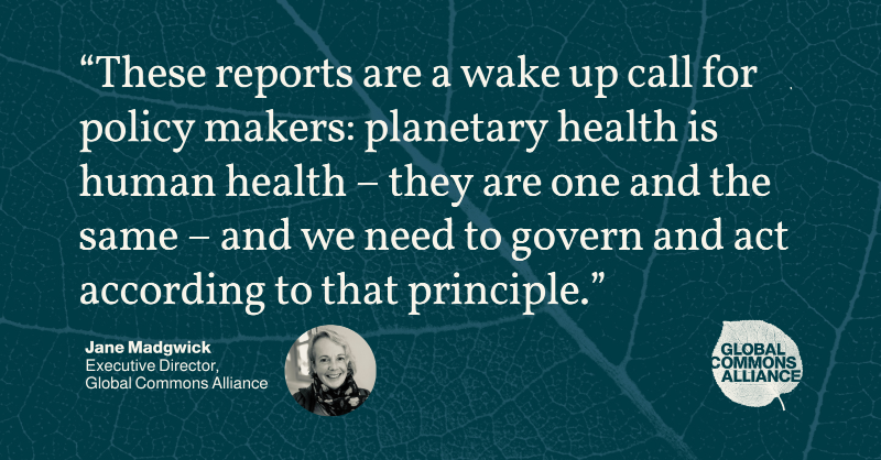 globalcommonshq's tweet photo. "Planetary health and human health are one and the same."

🆕 The environmental, social &amp; economic crises – including biodiversity loss, water and food insecurity, health risks and climate change – are interconnected and must be tackled together, states new report from @IPBES. 👇