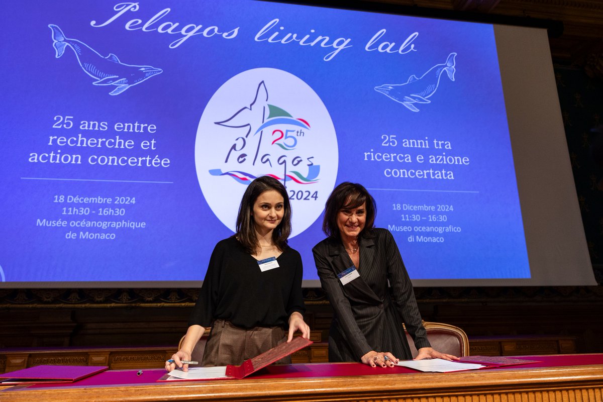 Monaco Info (@monaco__info) on Twitter photo Le Secrétariat permanent de l’Accord <a href="/Pelagos_/">Pelagos Agreement</a> a organisé un atelier technique et scientifique au <a href="/OceanoMonaco/">MuséeOcéanographique</a> dans le cadre des célébrations des 25 ans de l’Accord.
➡️ Un reportage à suivre ce soir dans notre JT. Le Secrétariat permanent de l’Accord <a href="/Pelagos_/">Pelagos Agreement</a> a organisé un atelier technique et scientifique au <a href="/OceanoMonaco/">MuséeOcéanographique</a> dans le cadre des célébrations des 25 ans de l’Accord.
➡️ Un reportage à suivre ce soir dans notre JT.