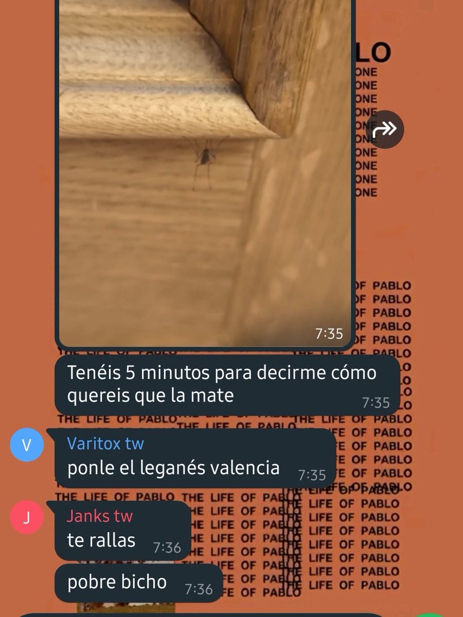 gato glup (@renferencias) on Twitter photo 