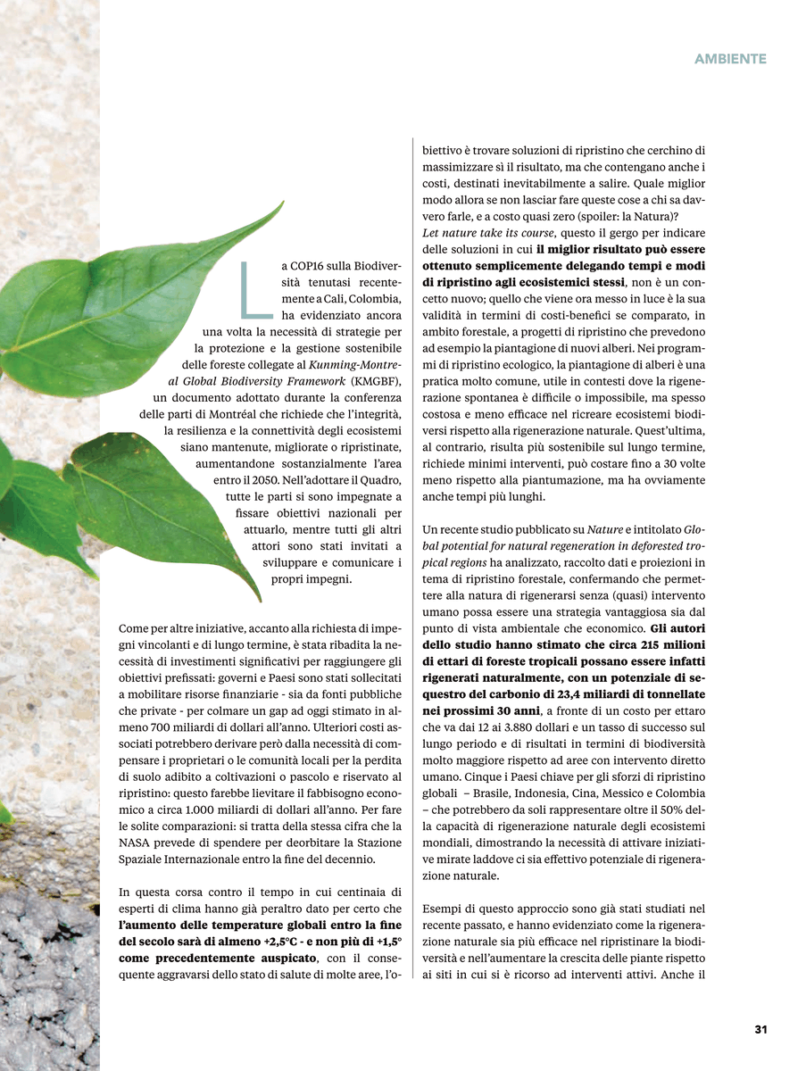 The_Map_Report (@themapreport1) on Twitter photo E se lasciassimo fare alla #Natura?
Sull'ultimo numero del nostro magazine l'articolo a cura di <a href="/FSCItalia/">FSC Italia</a>
sfogliami.it/fl/304928/dtrn… E se lasciassimo fare alla #Natura?
Sull'ultimo numero del nostro magazine l'articolo a cura di <a href="/FSCItalia/">FSC Italia</a>
sfogliami.it/fl/304928/dtrn…