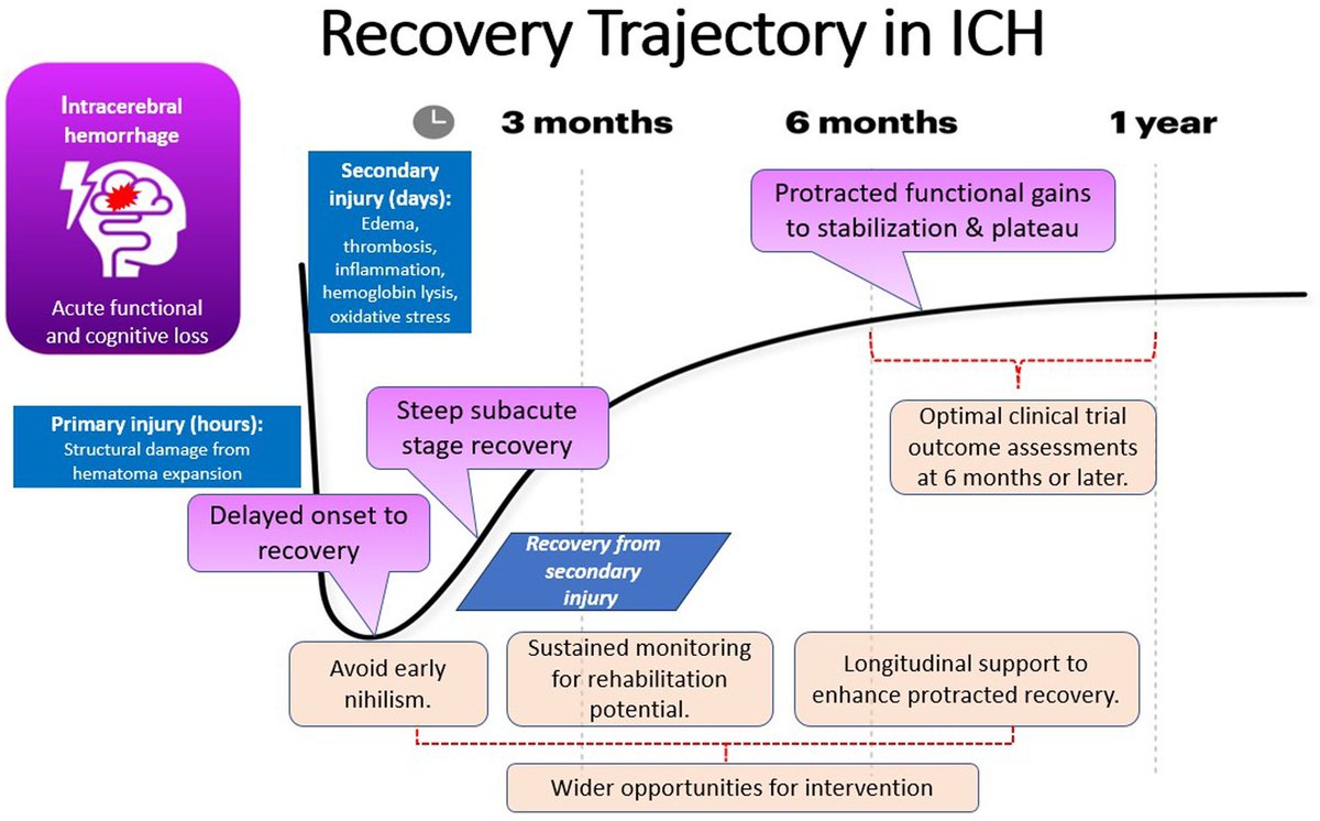 🚦La recuperación de HIC:

🐢Tiene un inicio lento en las primeras semanas
🐇Mejora rápidamente en los 3 meses iniciales
📈Continúa gradualmente hasta 6 meses

☝️Comprender esto es clave para el pronóstico, tratamientos y diseño de ensayos clínicos

🔗ahajournals.org/doi/abs/10.116…