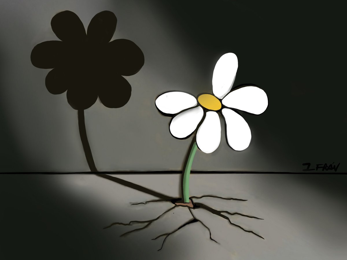 Todos somos familiares.
Memoria, verdad y justicia.
