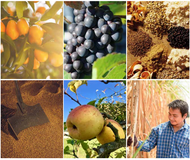 What do you know about the #LocalImpact of the #SpiritsIndustry? 

In 2022 alone, distilleries spent $57B with farmers and suppliers, while packaging and logistics investments generated $33B in tax revenue – preserving traditions strengthening communities.
bit.ly/49NfZd9