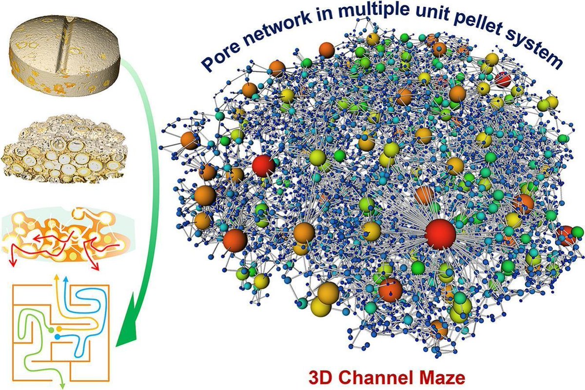 JCRnEDITORS's tweet photo. “3D channel maze” to control drug release from multiple unit tablets.
| Jiwen Zhang, Shanghai Institute of Materia Medica |
[50 days' free access]
#tablet #ControlledRelease #3Dchannel 
https://t.co/RwujT951LD https://t.co/iFgkIobjn2