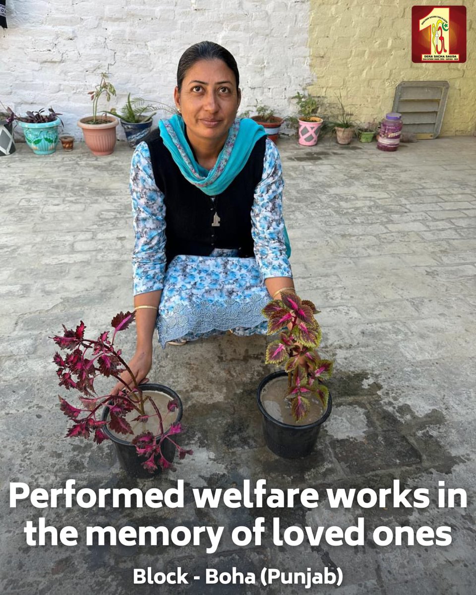 DSSNewsUpdates's tweet photo. The best way to honor someone's memory is by spreading kindness and nurturing life.  In a beautiful tribute to their loved ones, Dera Sacha Sauda volunteers performed welfare works that touched hearts and inspired many. A dedicated volunteer from Boha, Punjab, planted saplings, fostering nature and hope for the future. Meanwhile, volunteers from Yamunanagar, Haryana, distributed grocery items to needy families, bringing comfort and relief to those in need. Their selfless actions truly embody the spirit of humanity and compassion.  

#InLovingMemory #FoodBank #PlantingHope #DeraSachaSauda