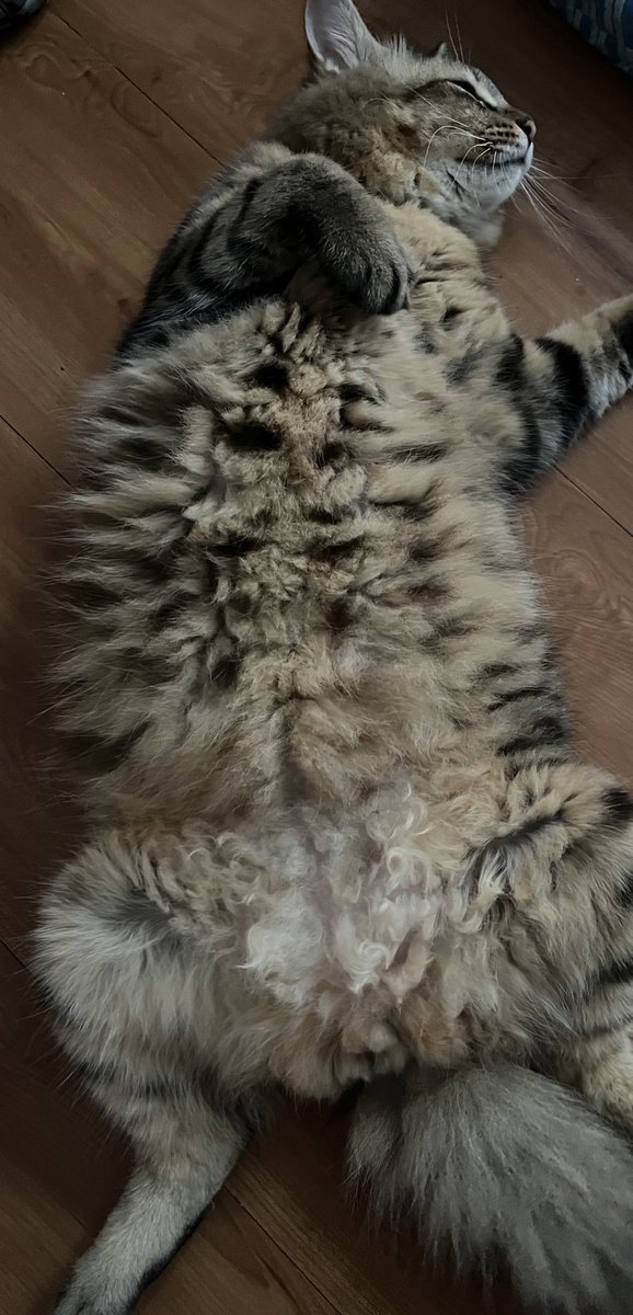 KrowThornes's tweet photo. pepper https://t.co/q1gv7UOoLK